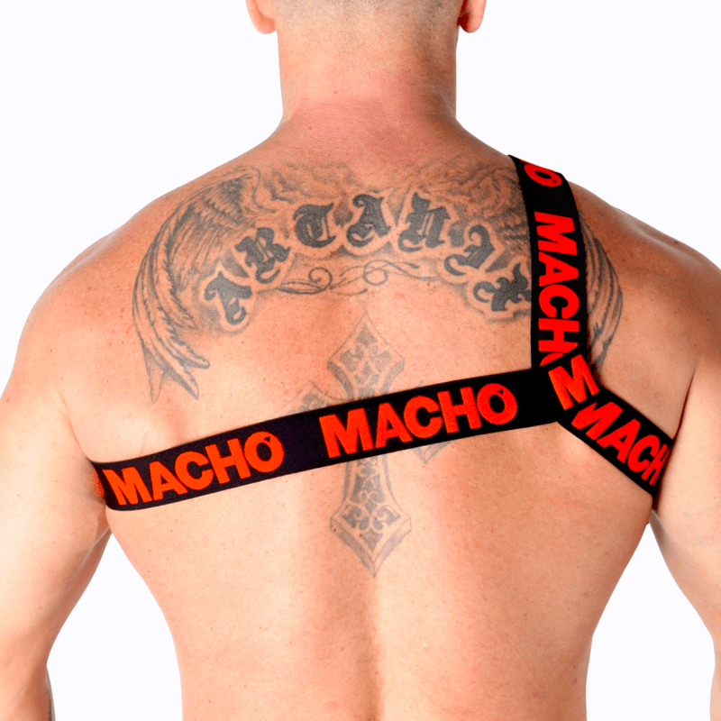 MACHO - ARNÉS ROMANO BLANCO S/M - Lover Dreams